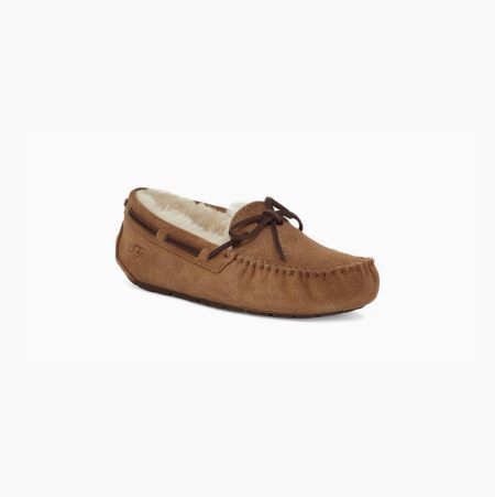 UGG Dakota Brown Slippers for Women (WELV16735)